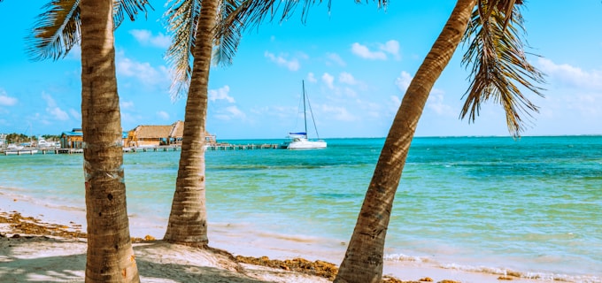 Belize offshore company