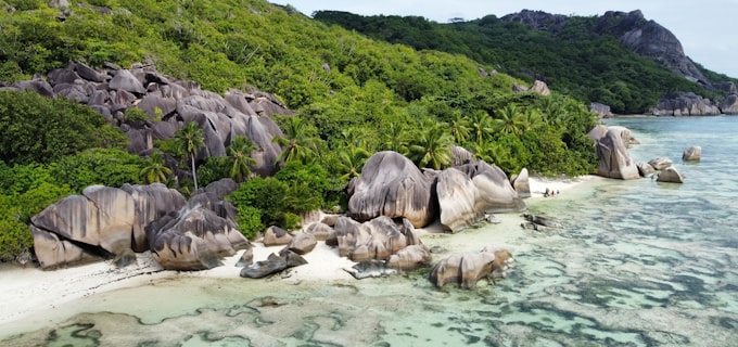 Seychelles offshore company